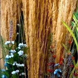 Floral Arrangement bundle of 3 natural grasses with floral